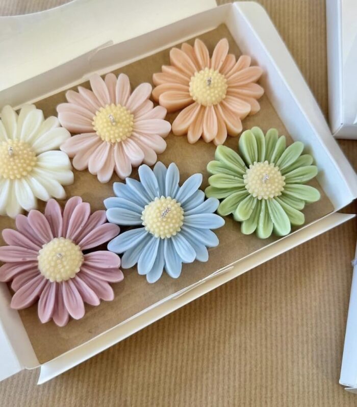 CANDLES_CABINET Scented Daisy Candle Set of 6